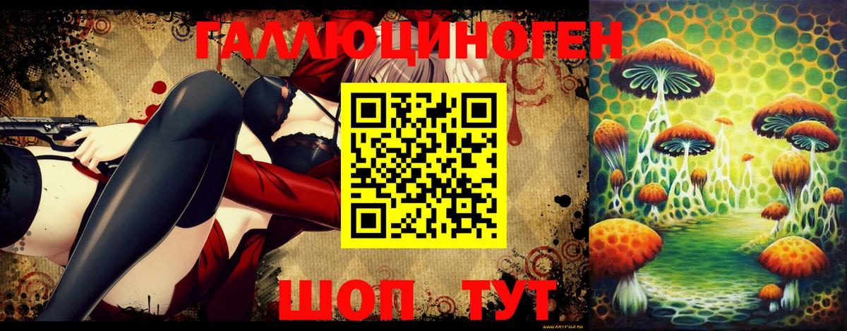 Михайловка  Псилоцибиновые грибы GOLDEN TEACHER  магазин    Вход с VPN  Псилоцибиновые грибы мицелий 